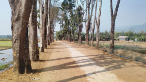পর্যটন উন্নয়নে সিলেট সীমান্তে ২৭ কিলোমিটার লিংক রোড