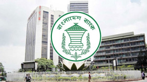 ঘোষণা ছাড়া ২০ হাজার ডলার আনতে পারবেন ফ্রিল্যান্সাররা