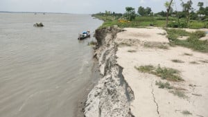 যমুনার ভাঙনে নদীগর্ভে দুই হাজার ঘরবাড়ি, শত শত হেক্টর জমি