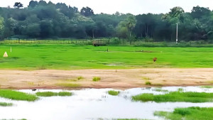 সাহেবনগর সীমান্তে ৮ জনকে পুশইনের চেষ্টা প্রতিহত করল বিজিবি