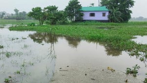 সুনামগঞ্জে পাঁচ দিনের বৃষ্টিতে বেহাল গ্রামীণ সড়ক, ঘরবন্দি নিম্নাঞ্চলের মানুষ