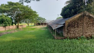 শালিখায় নামসর্বস্ব শিক্ষাপ্রতিষ্ঠানে দেড় কোটি টাকার বরাদ্দ