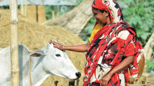 শান্তিময় বিশ্ব বিনির্মাণে সমবায়