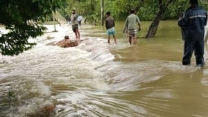 বিপৎসীমার ওপরে তিন নদীর পানি, নতুন এলাকায় বন্যার শঙ্কা