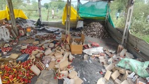 গুজরাটে আতশবাজি কারখানায় বিস্ফোরণ, নিহত ৮