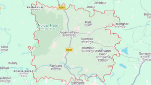 বন কর্মকর্তার সামনেই মেছোবাঘ পিটিয়ে হত্যা