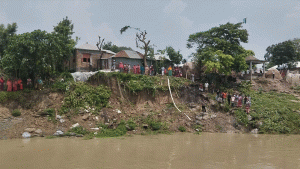 কুষ্টিয়ায় পদ্মার ভাঙনে হুমকিতে নদী রক্ষা বাঁধ ও বসতভিটা
