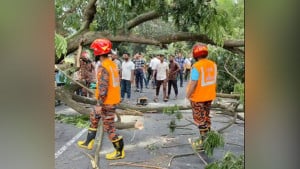 সীতাকুণ্ডে গাছ কাটার ঘটনায় সওজের মামলা, গ্রেপ্তার ২