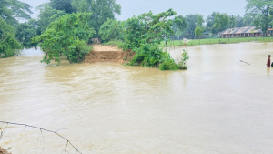 নেত্রকোনায় অতিবৃষ্টি ও পাহাড়ি ঢলে জনদুর্ভোগ