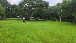 প্রকৃতির নীরবতায় যেন আজও হেঁটে বেড়ান হুমায়ূন আহমেদ