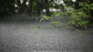 টানা পাঁচদিন ভারী বৃষ্টির আভাস