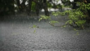 আট বিভাগে ভারী বৃষ্টিপাতের সতর্কবার্তা