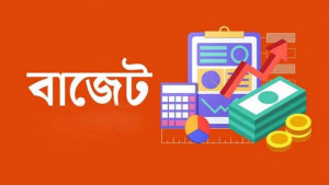 নতুন বাজেটে ভর্তুকি কমছে, বাড়ছে প্রণোদনা
