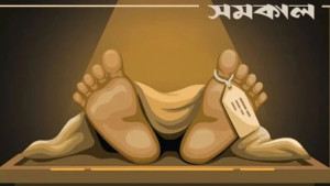 তিতাসে ছোট ভাইয়ের কোদালের কোপে বড় ভাই নিহত