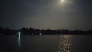 কুকুরের পর মানুষ– যে মৃত্যু এড়ানো যেত সহজেই