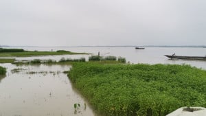 কুড়িগ্রামে বাড়ছে তিস্তা-ধরলার পানি, প্লাবিত নিম্নাঞ্চল