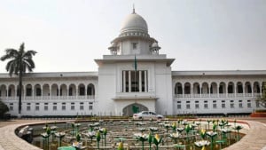 ভোলায় কোটি টাকার ইলিশ জব্দে হাইকোর্টের তদন্তের নির্দেশ
