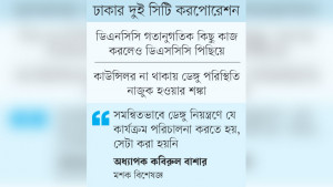 ডেঙ্গু মোকাবিলার প্রস্তুতি নিয়ে প্রশ্ন