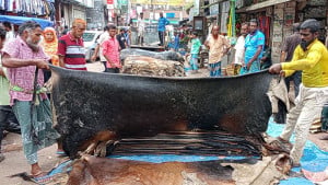সরকারি দামের অর্ধেকও পান না জেলার ব্যবসায়ীরা