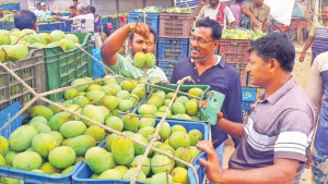 ঢলনের বোঝা নিতে পারছেন না আমচাষি