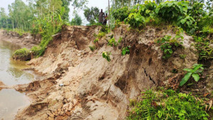 করতোয়া নদীর বাঁধে ভাঙন ঝুঁকিতে দেড় হাজার মানুষ