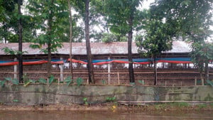 ৭ বছরের প্রতিবাদের ফল টিকল না দুই সপ্তাহও