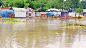 খোলা হলো তিস্তা ব্যারাজের সব জলকপাট