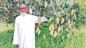 সোলায়মানের এক বাগানে শত জাতের আম