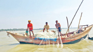 মেঘনায় ইলিশের জন্য হাহাকার