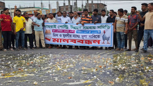 সড়কে ডিম ভেঙে ন্যায্যমূল্যের দাবি  খামারিদের