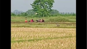 বিএসএফের ঠেলে পাঠানো ১০ জন আটকে আছেন শূন্যরেখায়