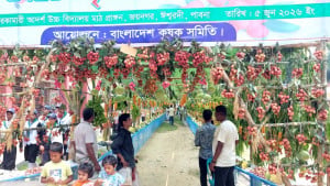ঈশ্বরদীতে দিনব্যাপী লিচু উৎসব ও কৃষি বাণিজ্য মেলা