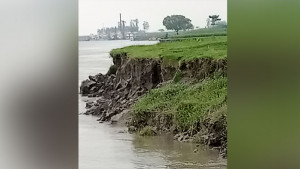 যমুনা নদীর ভাঙন বেড়েছে, আতঙ্কে ১২ গ্রামের মানুষ