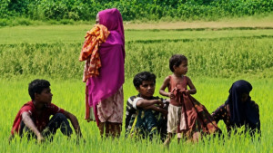 ৯ জনকে পুশইনের চেষ্টা রুখে দিল বিজিবি