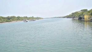 সুন্দরবনের শ্যালা নদীতে কুমিরের আক্রমণে জেলের মৃত্যু