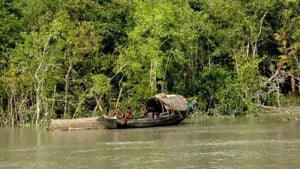 সুন্দরবনে গভীর রাতে গোলাগুলি, আতঙ্কে গ্রামবাসী