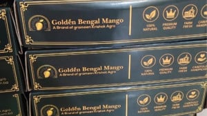 নওগাঁর আমের বিশ্বজয়, যুক্তরাষ্ট্রে রপ্তানি শুরু