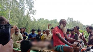 গারো পাহাড়ে ভারতীয় বন্যহাতির পায়ে পিষ্ট হয়ে শ্রমিকের মৃত্যু