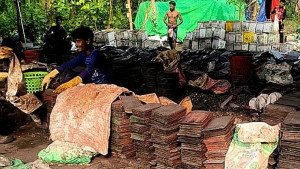 গজারি বনে সিসার কারখানা