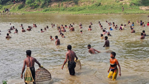 কুমিল্লায় গোমতী নদীতে শুরু মাছ ধরা উৎসব