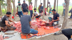 জমানো টাকায় ঈদের ভোজ, ৪০ গরু জবাই