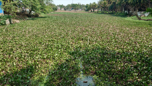 চালনা লেকের পানির দুর্গন্ধে অতিষ্ঠ পৌরবাসী, পুনর্খননের দাবি