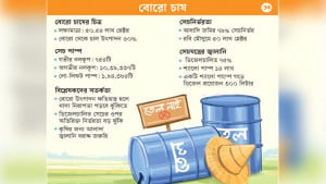 সেচে ডিজেল সংকটের প্রভাব, শঙ্কায় কৃষক