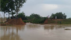 নেতাই নদের বাঁধে ভাঙন দুশ্চিন্তায় কৃষকরা