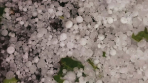 সিলেট-সুনামগঞ্জে ব্যাপক শিলাবৃষ্টি