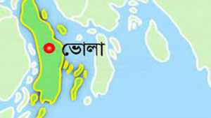 চরফ্যাসনে ইটভাটায় পুড়ছে কাঠ, সাবাড় হচ্ছে ম্যানগ্রোভ বাগান