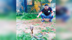 বন্যপ্রাণীর নিভৃত বন্ধু