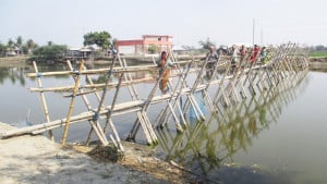 ৩৬ বছর ধরে সাঁকোয় নদী পারাপার