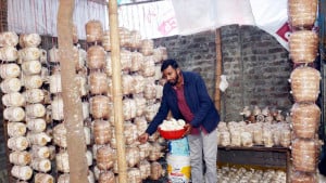 খড় আর ধানের তুষ এনে দিয়েছে সচ্ছলতা