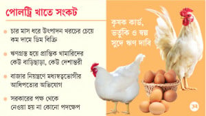 ঋণের জালে পোলট্রি খামারিরা